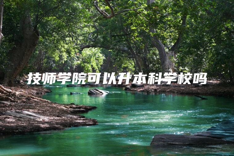 技師學(xué)院可以升本科學(xué)校嗎