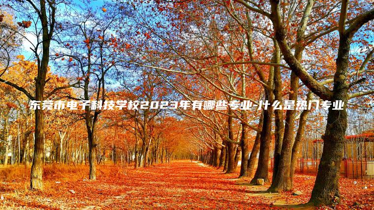東莞市電子科技學(xué)校2023年有哪些專(zhuān)業(yè)-什么是熱門(mén)專(zhuān)業(yè)