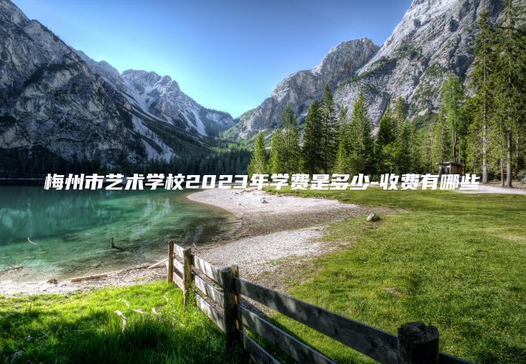 梅州市藝術(shù)學(xué)校2023年學(xué)費是多少-收費有哪些