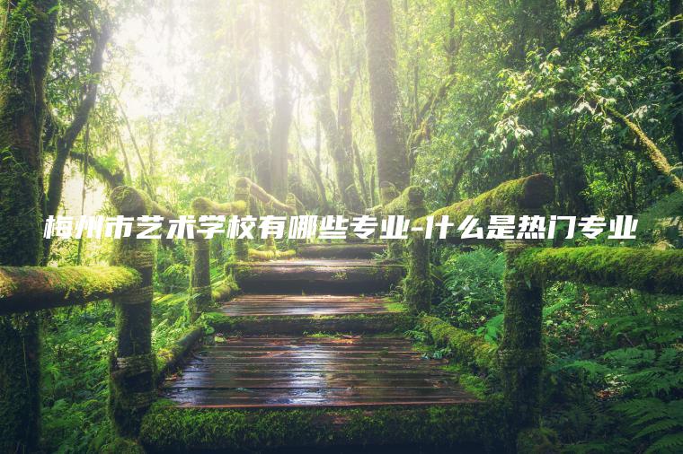 梅州市藝術(shù)學(xué)校有哪些專(zhuān)業(yè)-什么是熱門(mén)專(zhuān)業(yè)