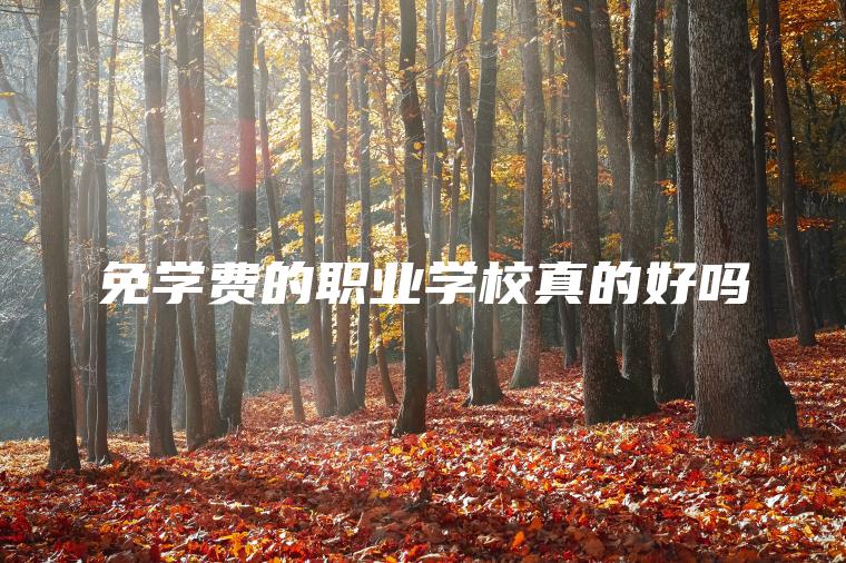 免學(xué)費的職業(yè)學(xué)校真的好嗎