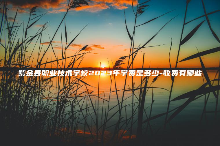 紫金縣職業(yè)技術(shù)學(xué)校2023年學(xué)費是多少-收費有哪些