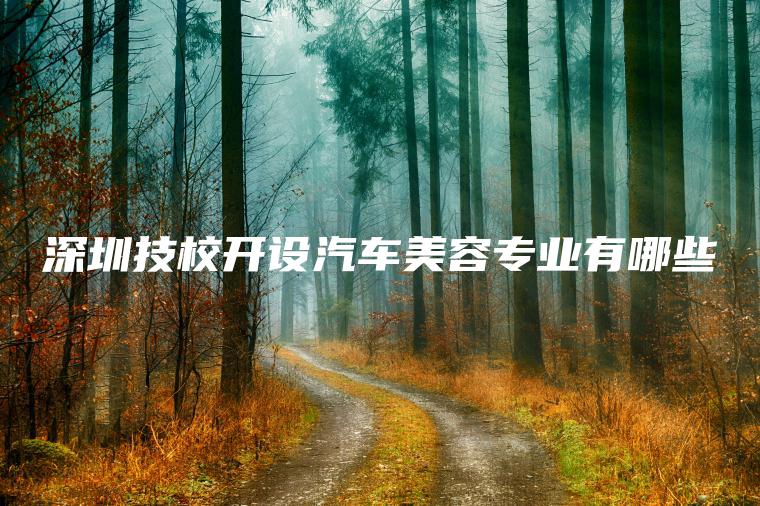 深圳技校開(kāi)設汽車(chē)美容專(zhuān)業(yè)有哪些