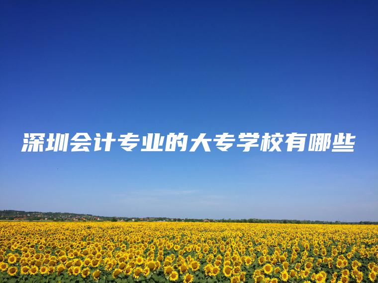 深圳會(huì )計專(zhuān)業(yè)的大專(zhuān)學(xué)校有哪些