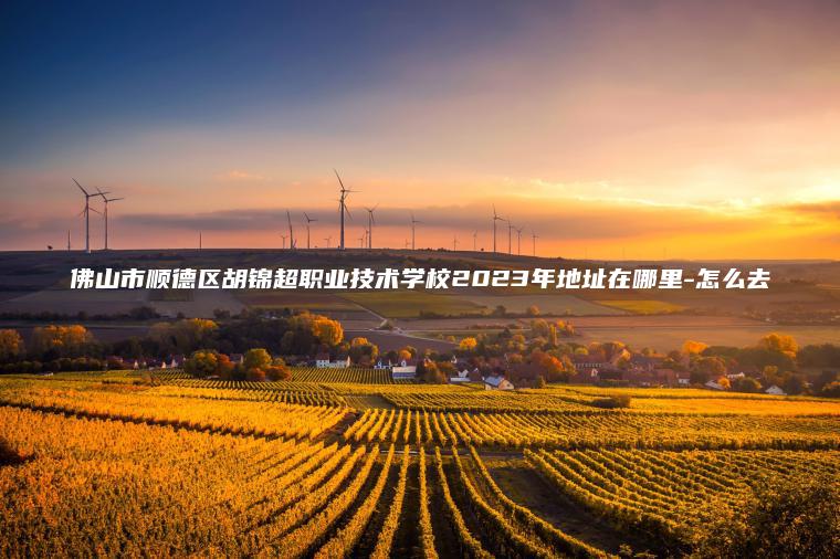 佛山市順德區胡錦超職業(yè)技術(shù)學(xué)校2023年地址在哪里-怎么去