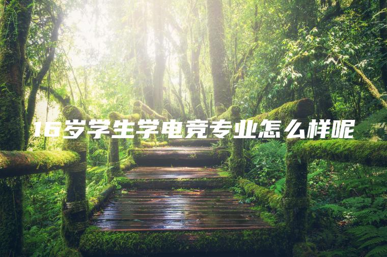 16歲學(xué)生學(xué)電競專(zhuān)業(yè)怎么樣呢