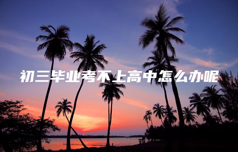初三畢業(yè)考不上高中怎么辦呢