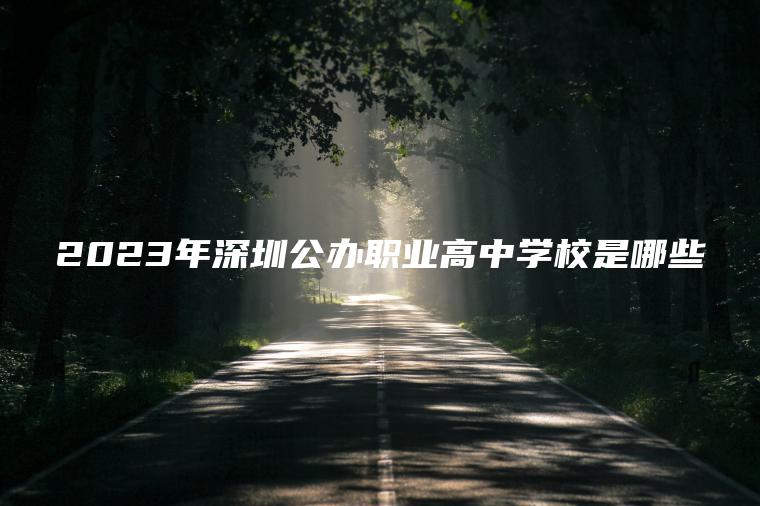 2023年深圳公辦職業(yè)高中學(xué)校是哪些