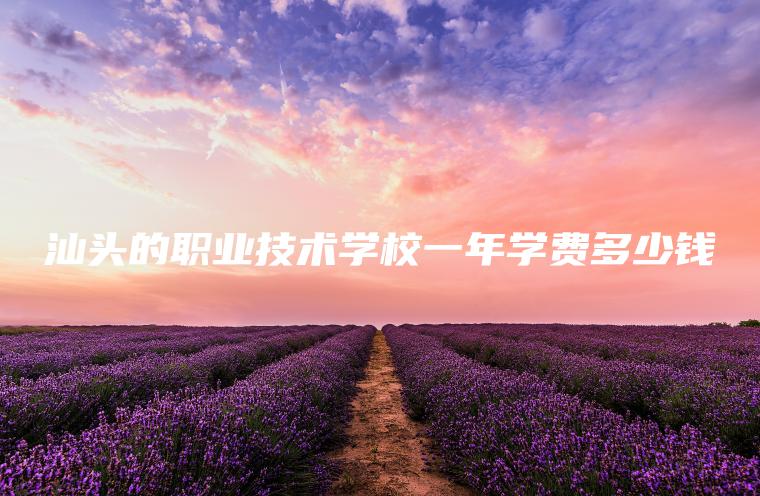 汕頭的職業(yè)技術(shù)學(xué)校一年學(xué)費多少錢(qián)