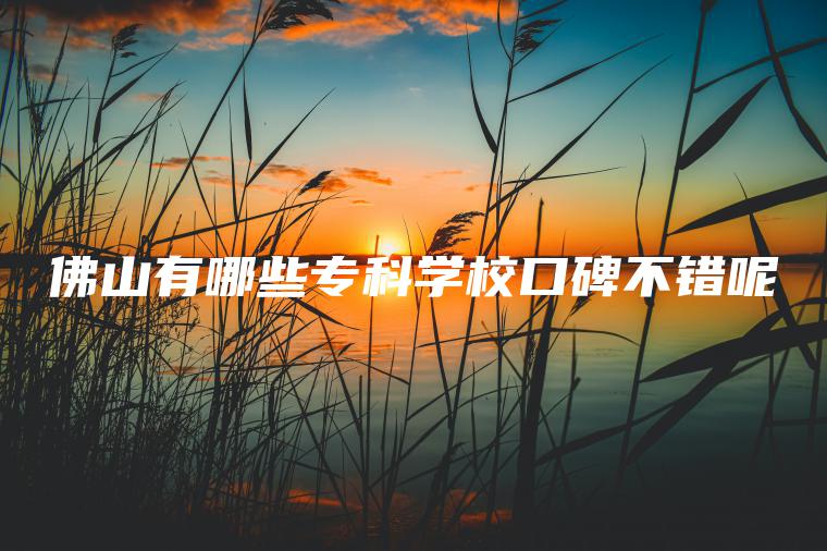 佛山有哪些專(zhuān)科學(xué)?？诒诲e呢