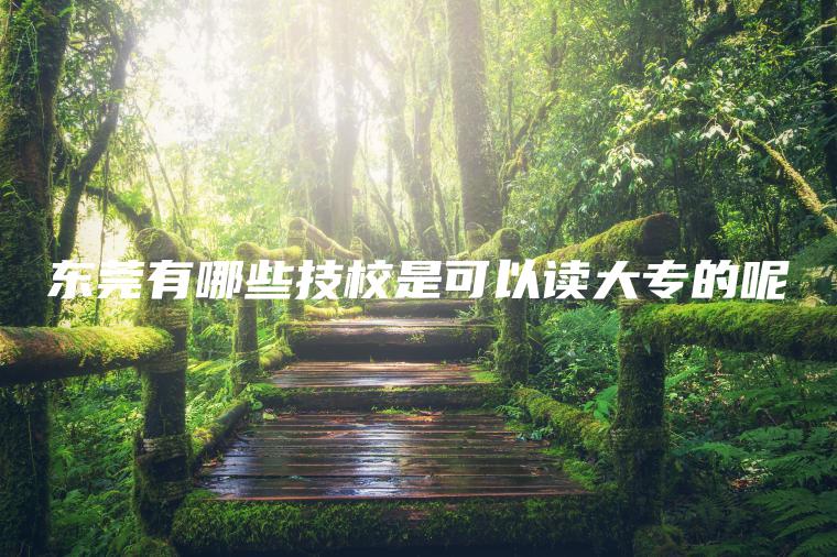 東莞有哪些技校是可以讀大專(zhuān)的呢