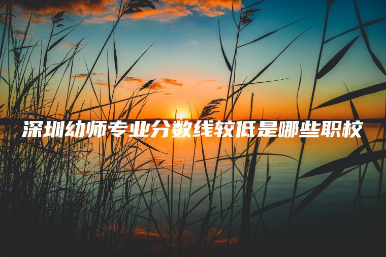 深圳幼師專(zhuān)業(yè)分數線(xiàn)較低是哪些職校