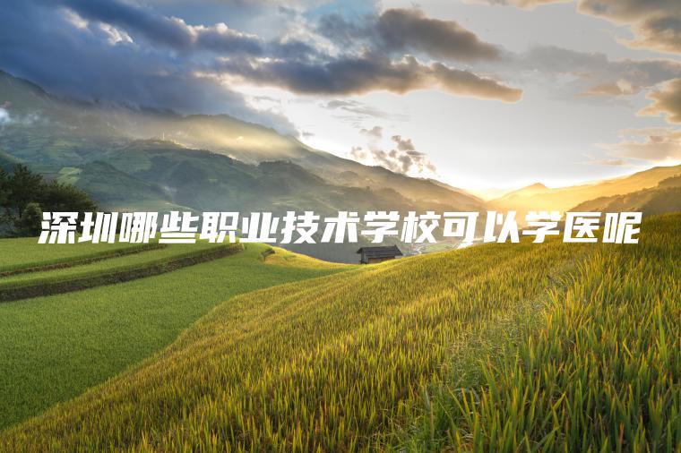 深圳哪些職業(yè)技術(shù)學(xué)?？梢詫W(xué)醫呢